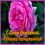 Открытка оригинальная картинка с днем рождения начальнице
