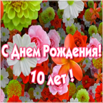 Картинка оригинальная открытка день рождения 10 лет