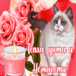 Открытка особенная открытка с пожеланиями