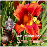Картинка открытка букетик для тебя
