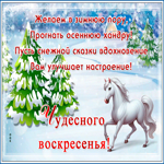 Открытка открытка чудесного воскресенья зимой