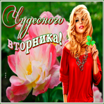 Postcard открытка чудесного вторника с девушкой