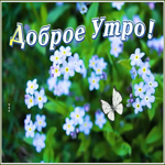 Картинка открытка доброе утро с необычными цветами