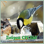 Картинка открытка доброй среды