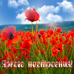 Открытка открытка хорошего настроения на всю неделю