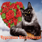 Картинка открытка хорошего настроения с котиком