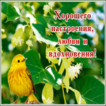 Картинка открытка хорошего настроения в любую погоду