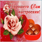 Картинка открытка хорошего настроения женщине