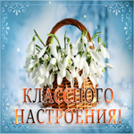 Picture открытка классного настроения с подснежниками