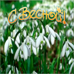 Картинка открытка красивой весны