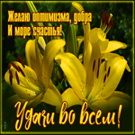 Открытка открытка красивый букет лилий