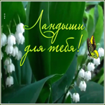 Картинка открытка ландыши для тебя