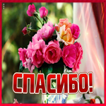 Открытка открытка огромное спасибо