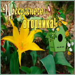 Postcard открытка прекрасного вторника с необычным цветком