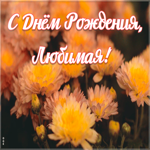 Открытка открытка с днем рождения любимой с цветами