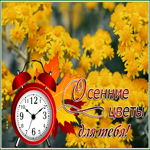 Postcard открытка с осенними цветами для тебя