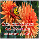 Picture открытка с пожеланием любви и нежности на каждый день