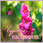 Картинка открытка с пожеланием для друзей