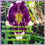 Открытка открытка с пожеланием тепла