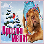 Картинка открытка с просьбой простить