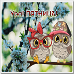 Picture открытка с совушками,  ура, пятница