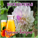 Picture открытка с воскресеньем с нежным цветком