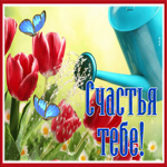 Picture открытка счастья тебе с живыми тюльпанами