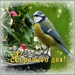 Картинка открытка счастливого дня