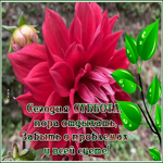 Postcard открытка сегодня суббота, пора отдыхать