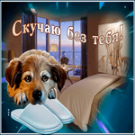 Postcard открытка скучаю без тебя с милым песиком