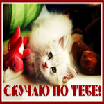 Picture открытка скучаю по тебе с чудесной кошечкой
