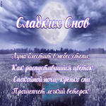 Открытка открытка сладких снов с надписью