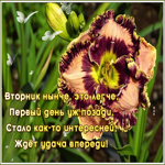 Postcard открытка со вторником, удача вереди