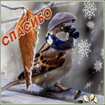 Картинка открытка спасибо что ты есть