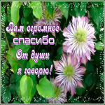Открытка открытка спасибо с любовью