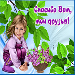 Картинка открытка спасибо за дружбу