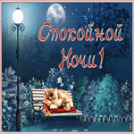 Открытка открытка спокойной ночи с кошкой