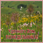 Картинка открытка удачного понедельника