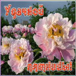 Открытка открытка удачной пятницы