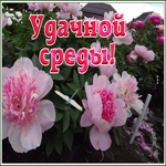 Картинка открытка удачной среды