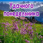 Postcard открытка удачного понедельника с полем цветов