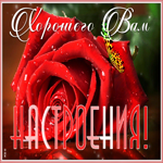 Открытка открытка улыбнись для настроения