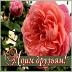 Картинка открытка я люблю своих друзей