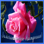 Открытка открытка замечательного настроения