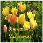 Открытка открытка замечательного вторника