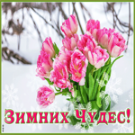 Открытка открытка зимних чудес