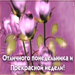 Картинка отличного понедельника