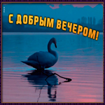 Открытка плейкаст открытка добрый вечер