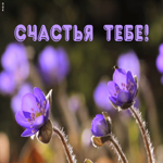 Картинка плейкаст счастья тебе