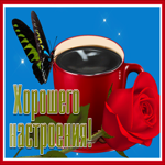 Picture потрясающая картинка для настроения с розой